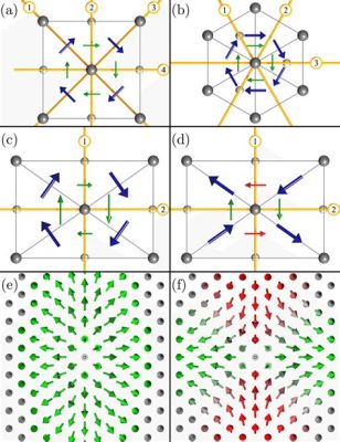  Acinetus: ¡Una criatura microscópica que desafía las normas de la simetría!