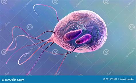 Giardia Lamblia: Un Microorganismo Unicelular Que Habita Los Intestinos Y Provoca Infecciones Intestinales Tenaces!